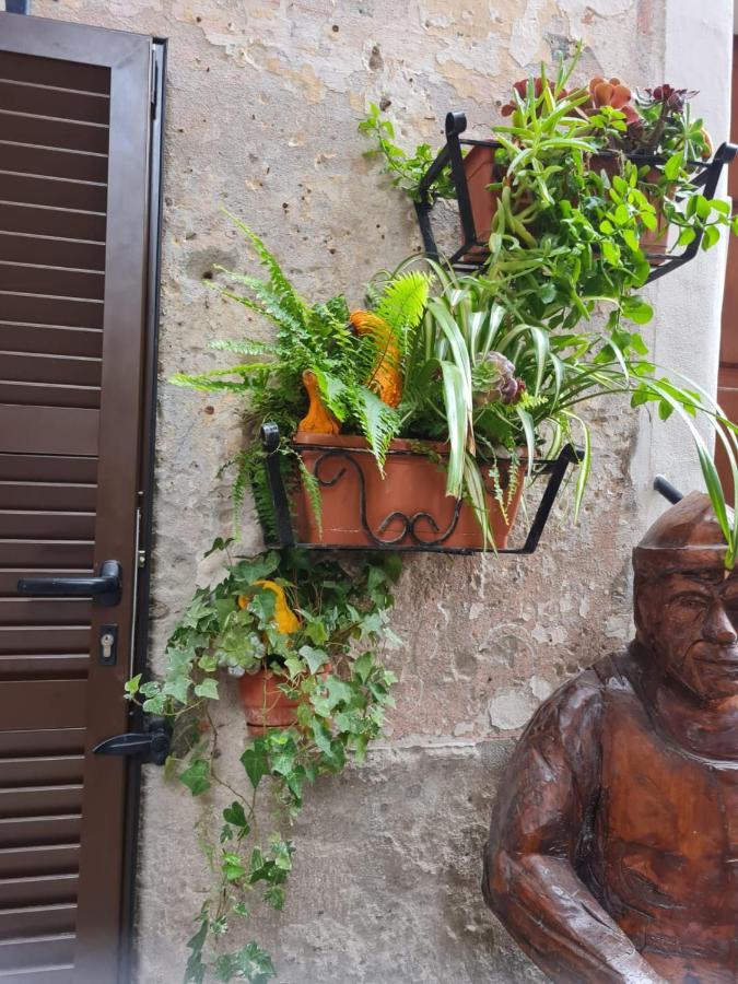 Rifugio Dei Saraceni Hotel Vallecrosia Buitenkant foto